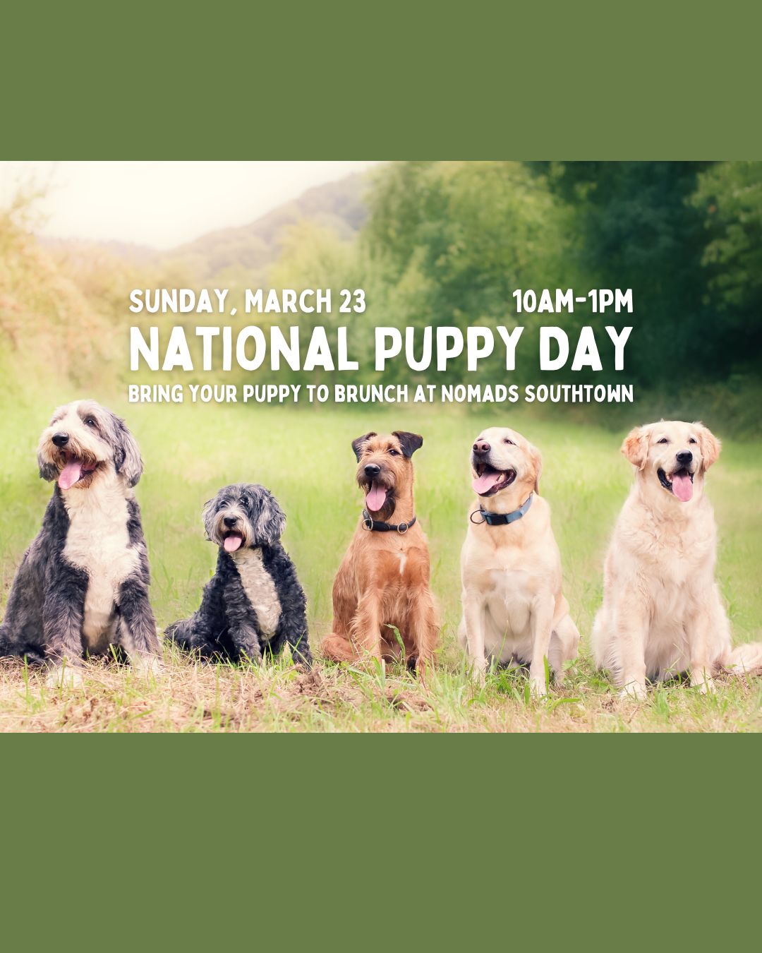 Bring your Pup to Brunch Day image