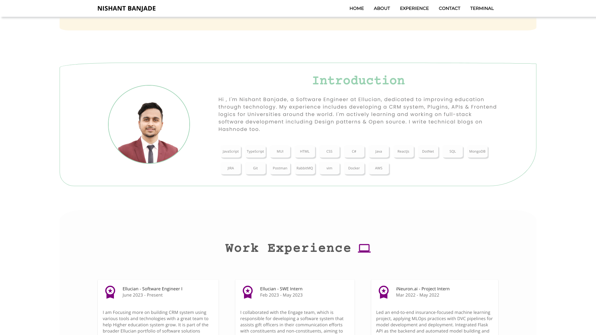 Portfolio image 2