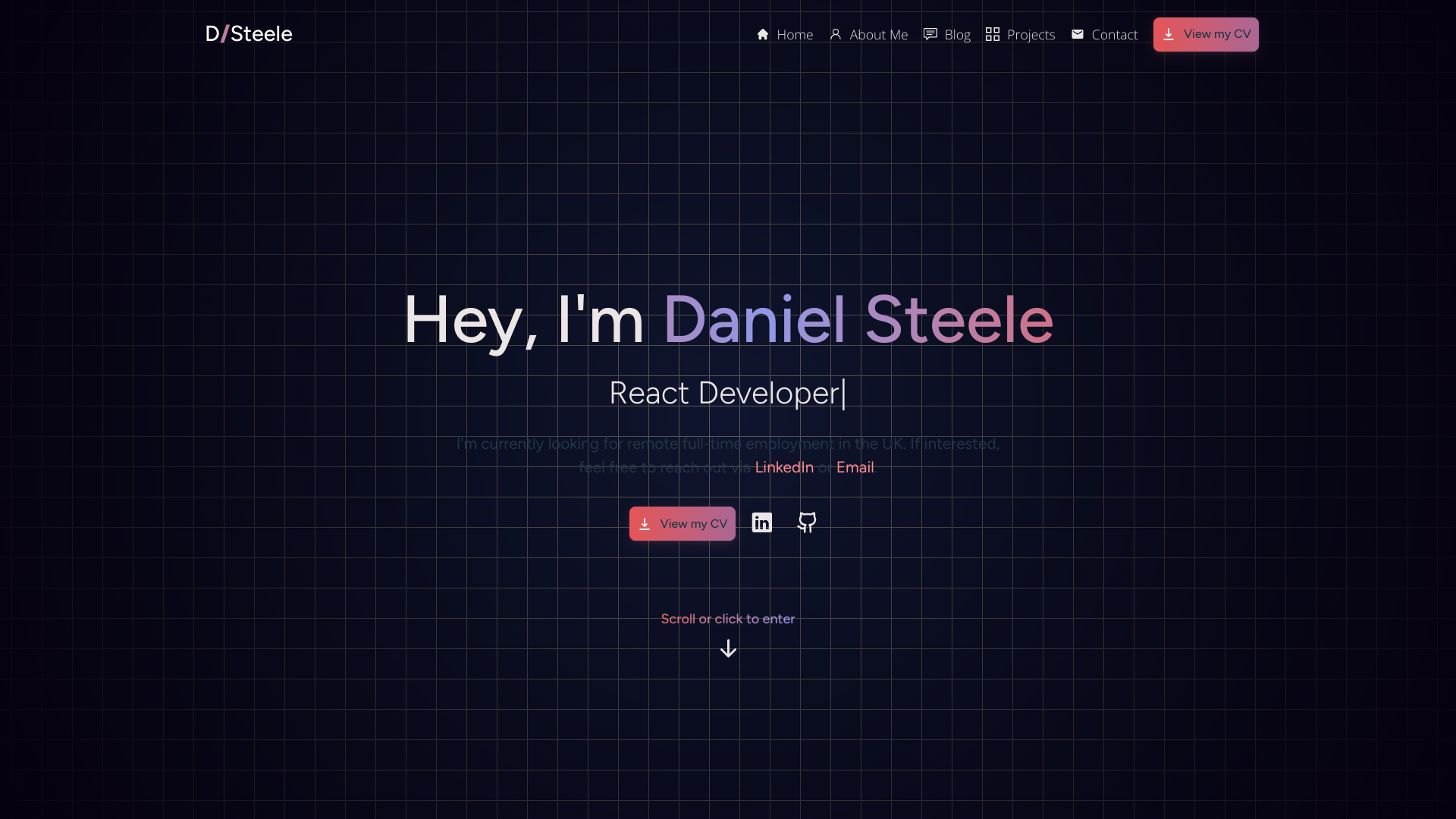 Daniel Steele portfolio preview