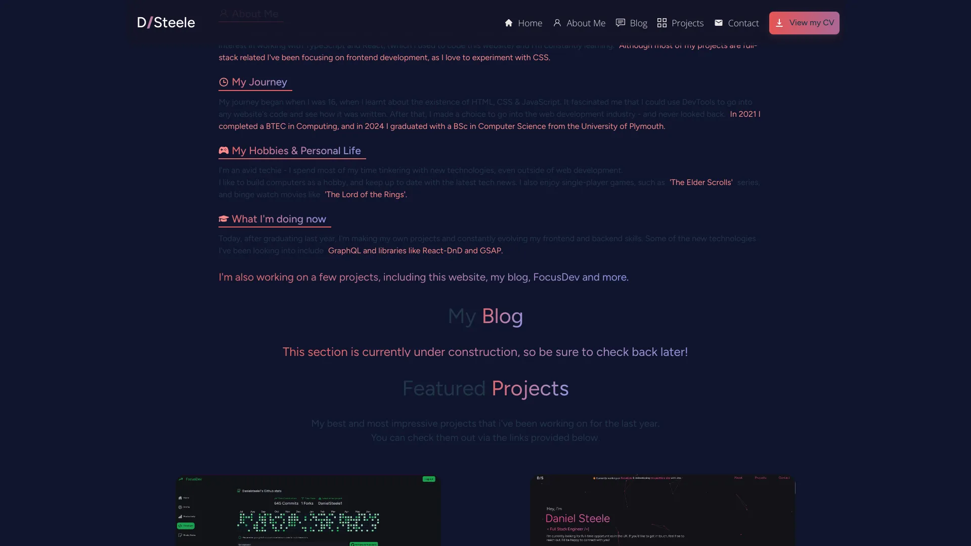 screenshot of more of Daniel Steele's portfolio and their work