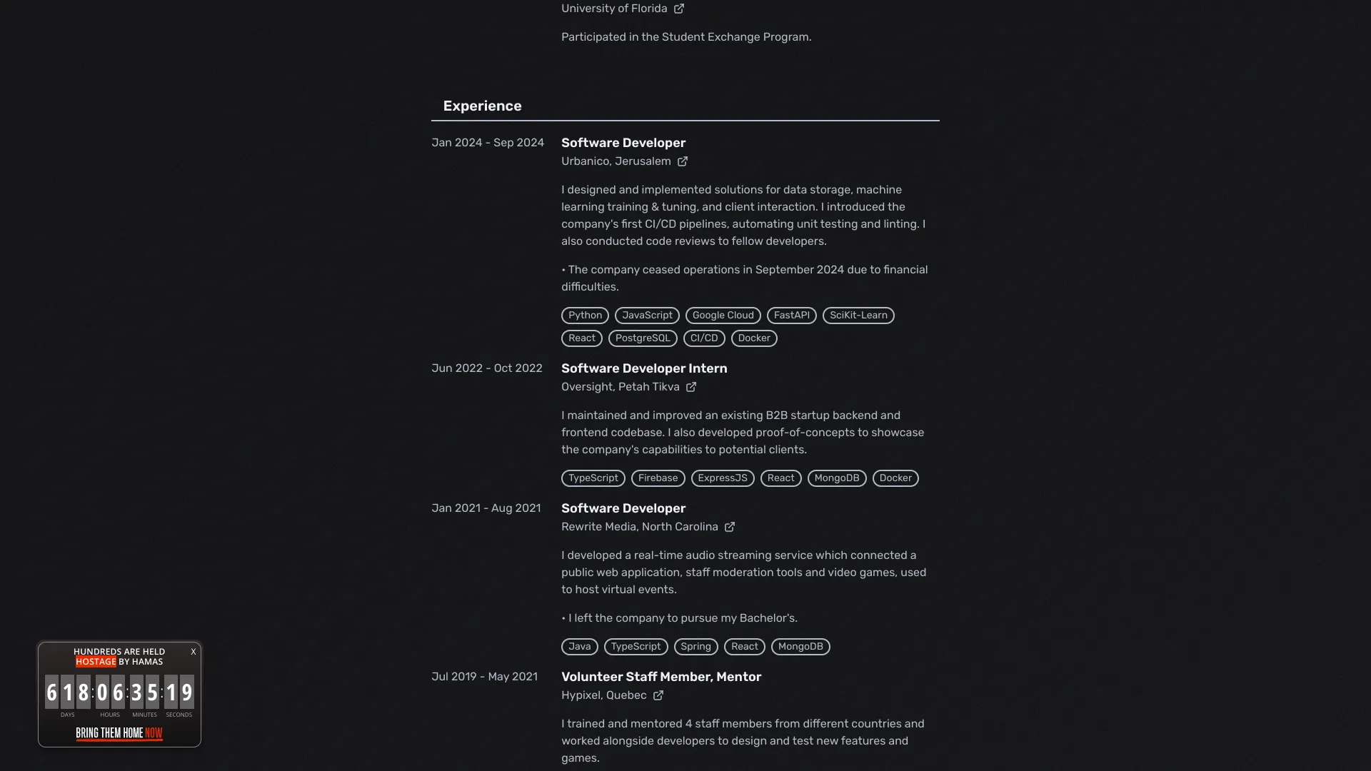 screenshot of more of Liel Amar's portfolio and their work