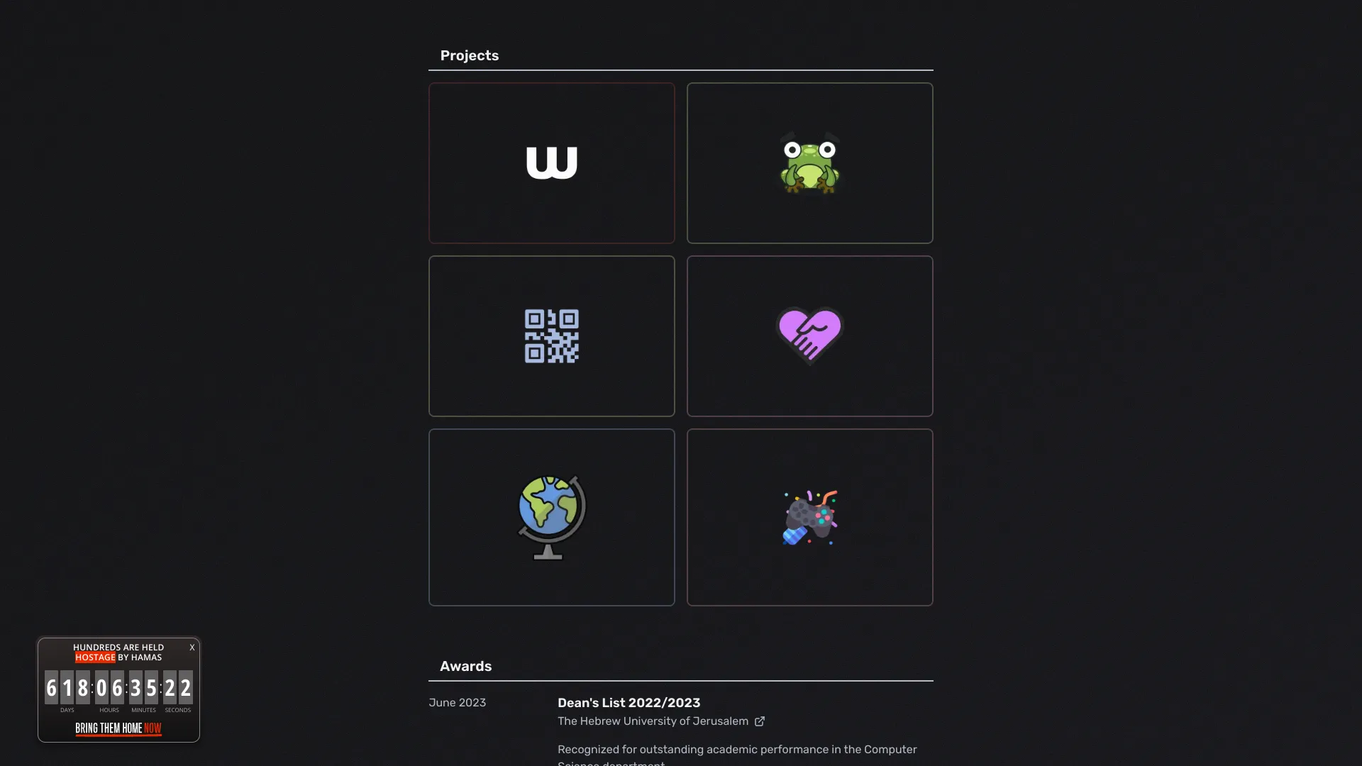screenshot of more of Liel Amar's portfolio and their work