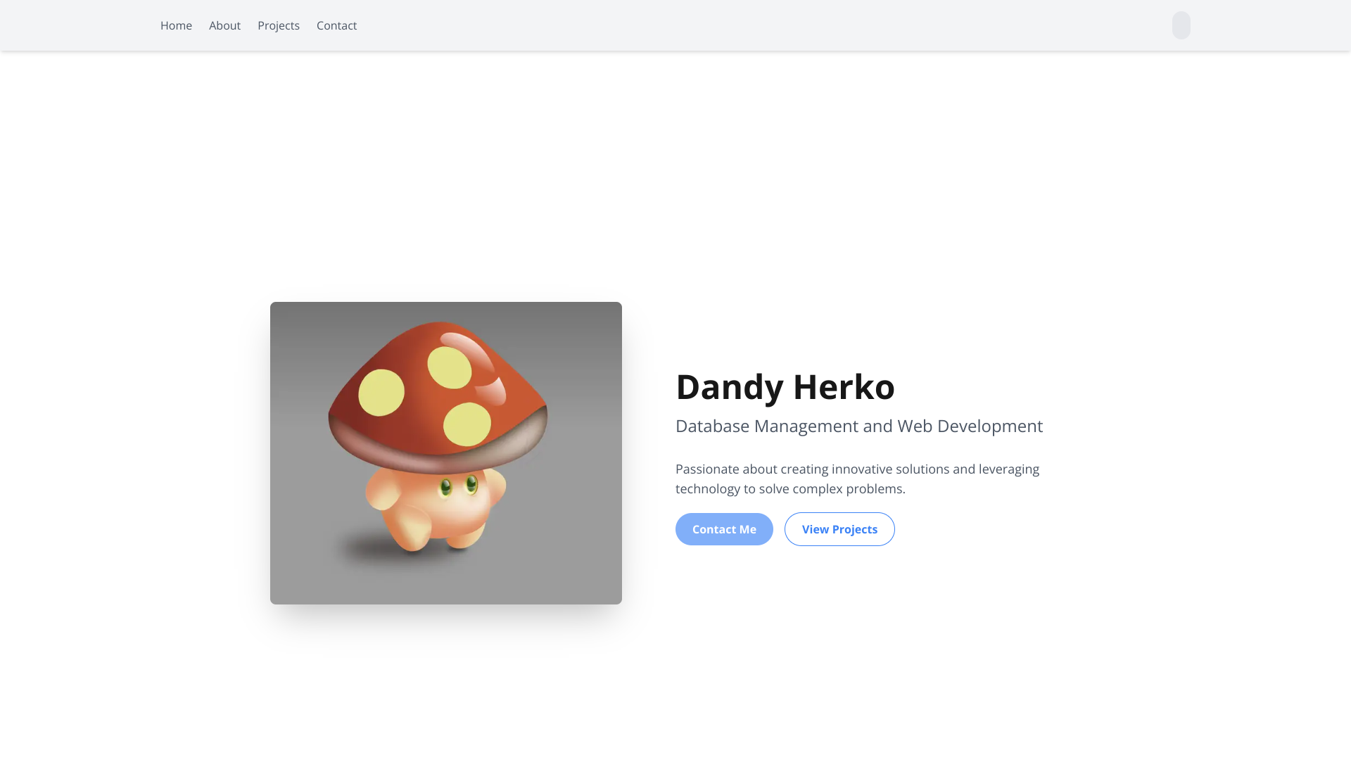 Dandy Herko's Software Engineer portfolio screenshot