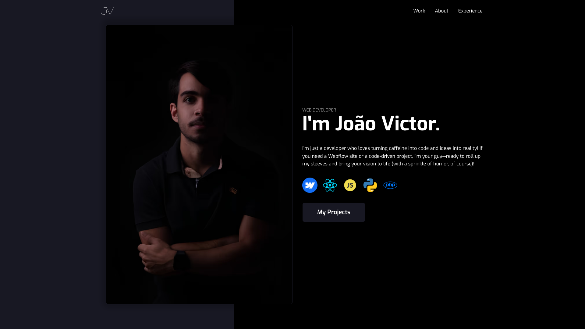 Joao Goncalves portfolio preview 1