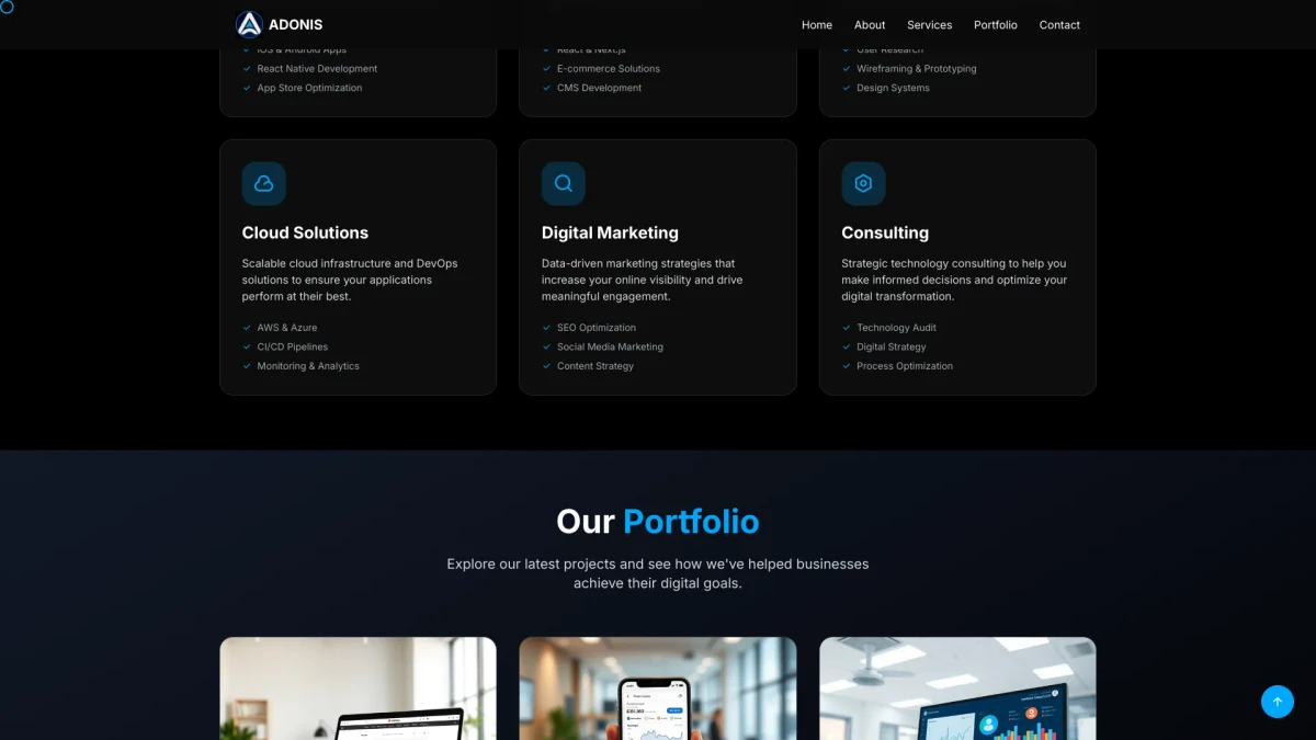 Portfolio image 3