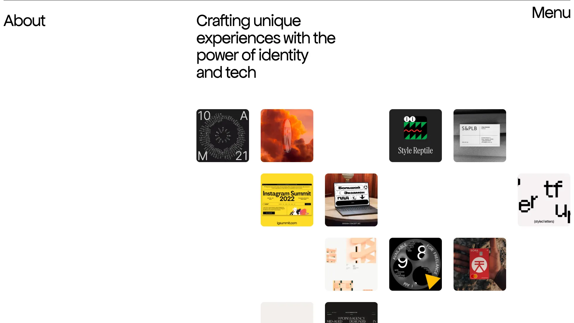 Portfolio image 2