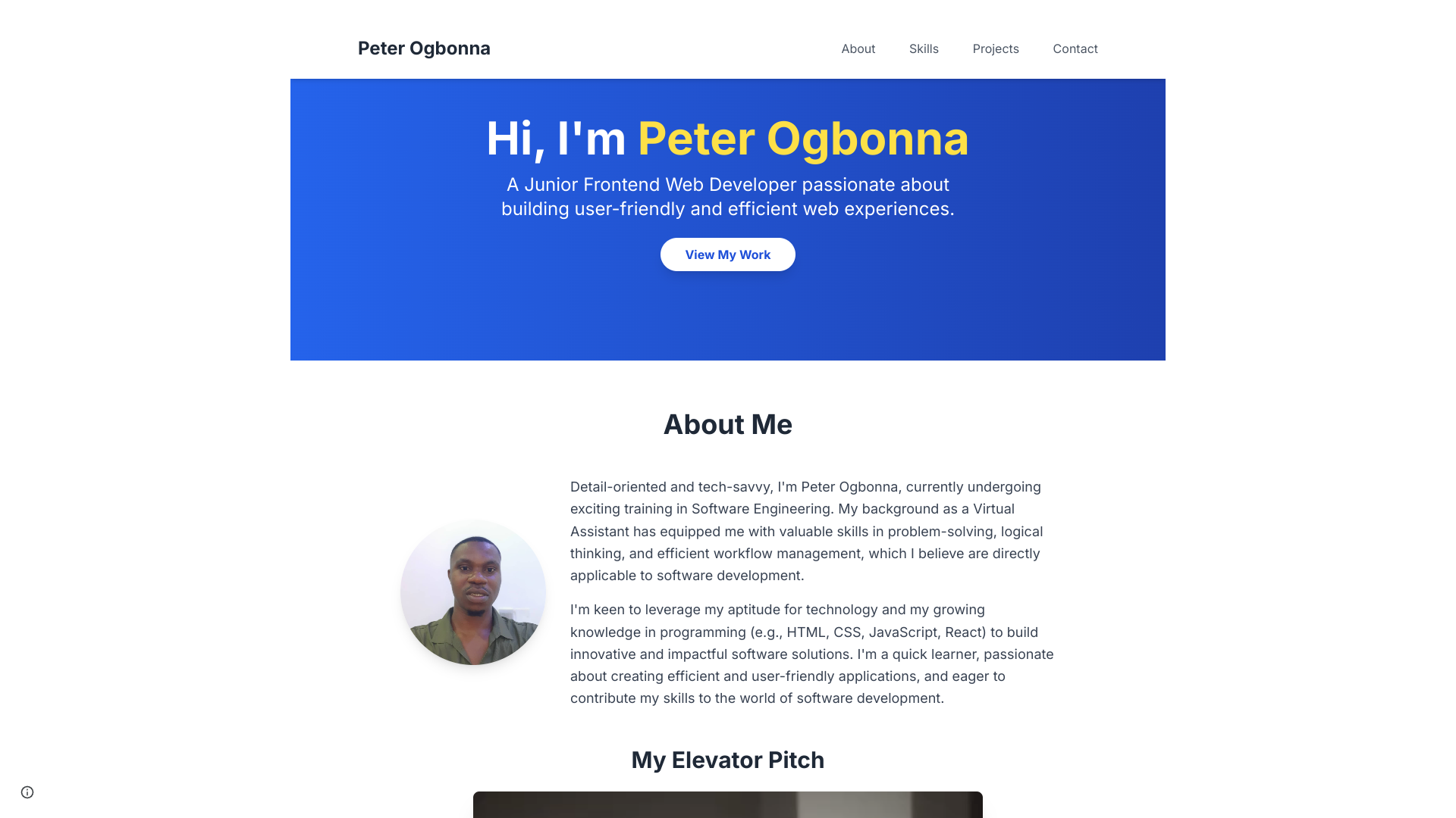 Peter  Ogbonna portfolio preview