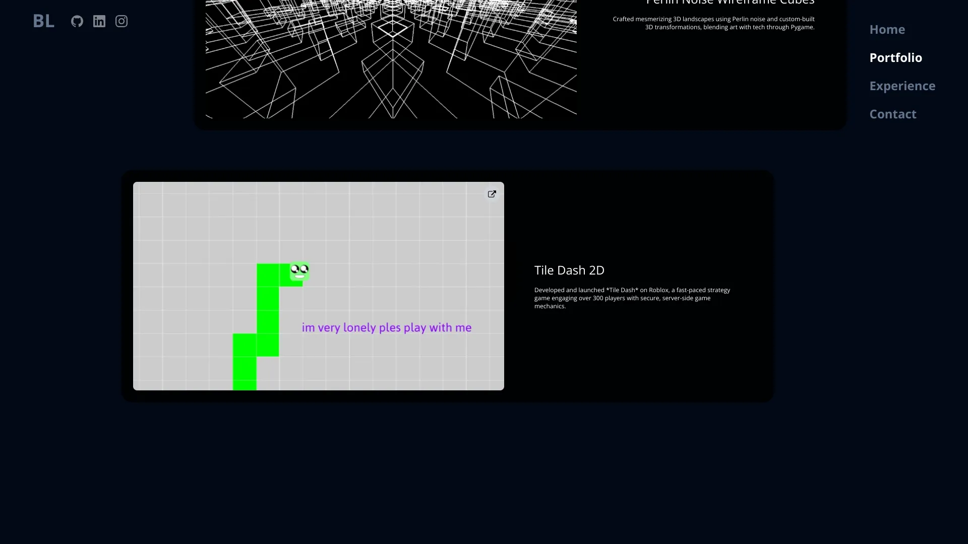 Portfolio image 4
