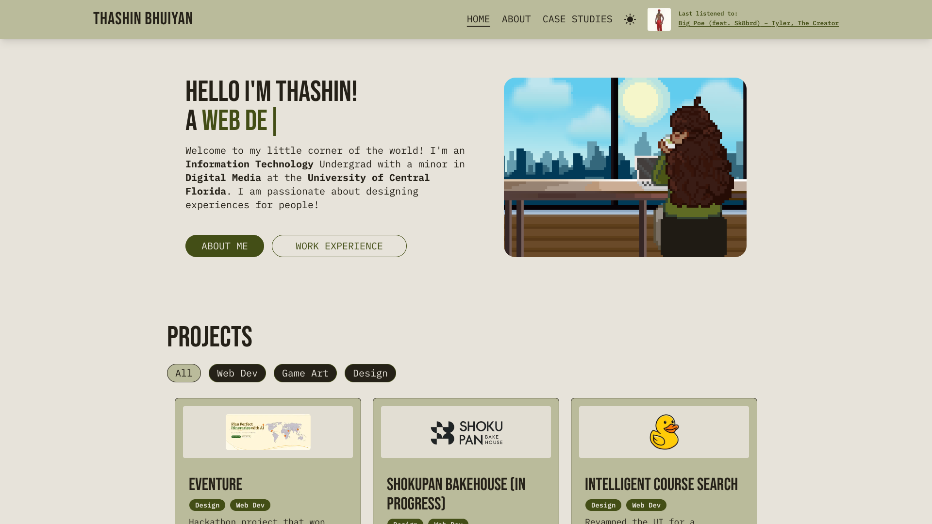 Thashin Bhuiyan portfolio preview 1