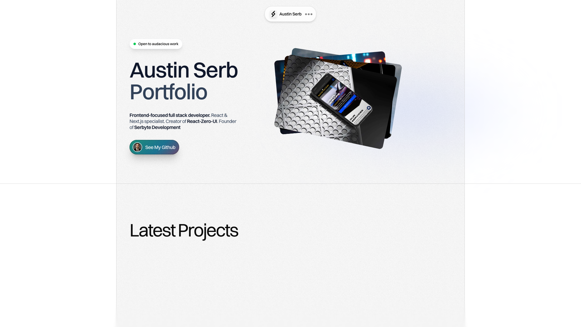 Austin Serb portfolio preview 1