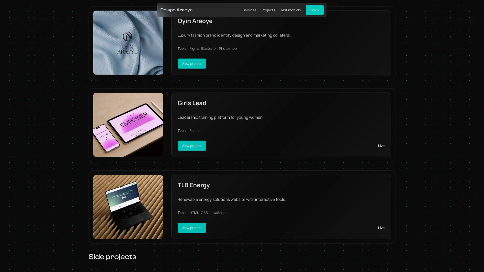 Portfolio image 3