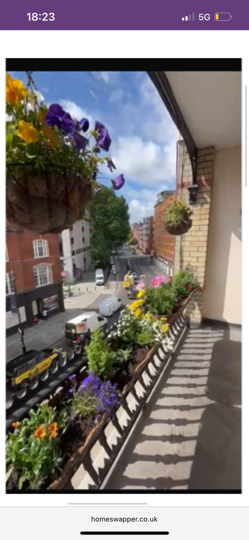 1-bed flat in SW1W, London