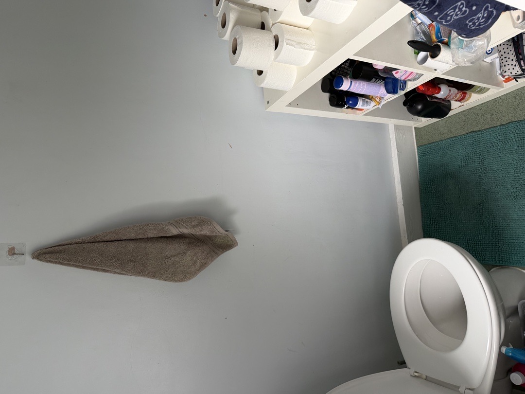 1-bed maisonette in SE15, London