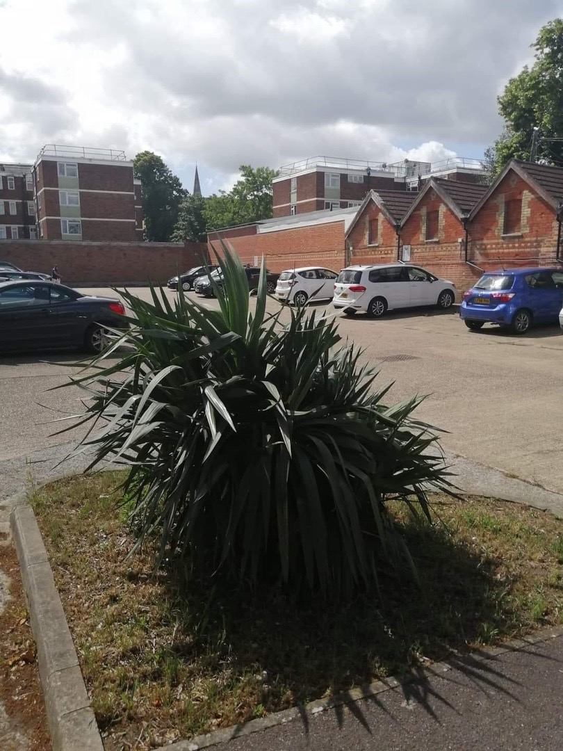 2-bed semi-detached in SM6, Wallington