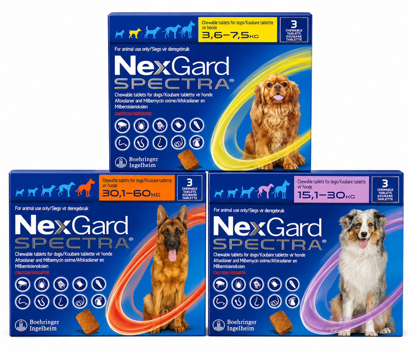 Nexgard - 3.5kg — 7.5kg