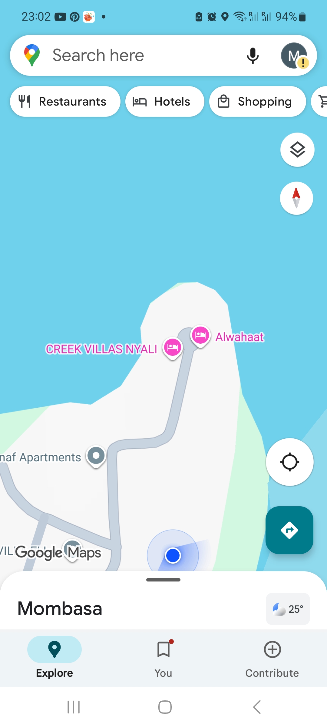 Vintage paint Vintage leather Promax