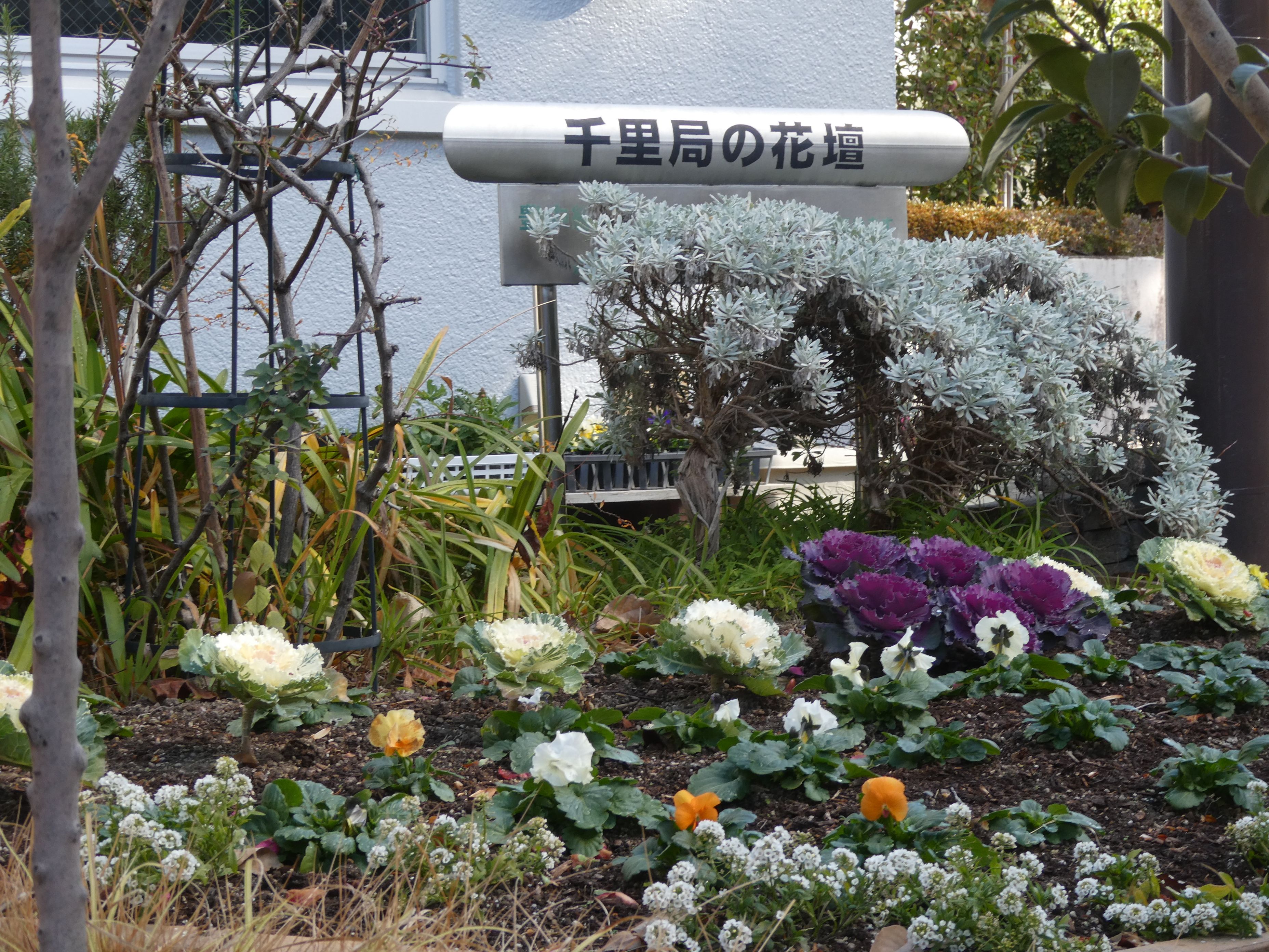 四季を感じる木々や草花、自然環境が生活域の近くにあるところ。
の画像