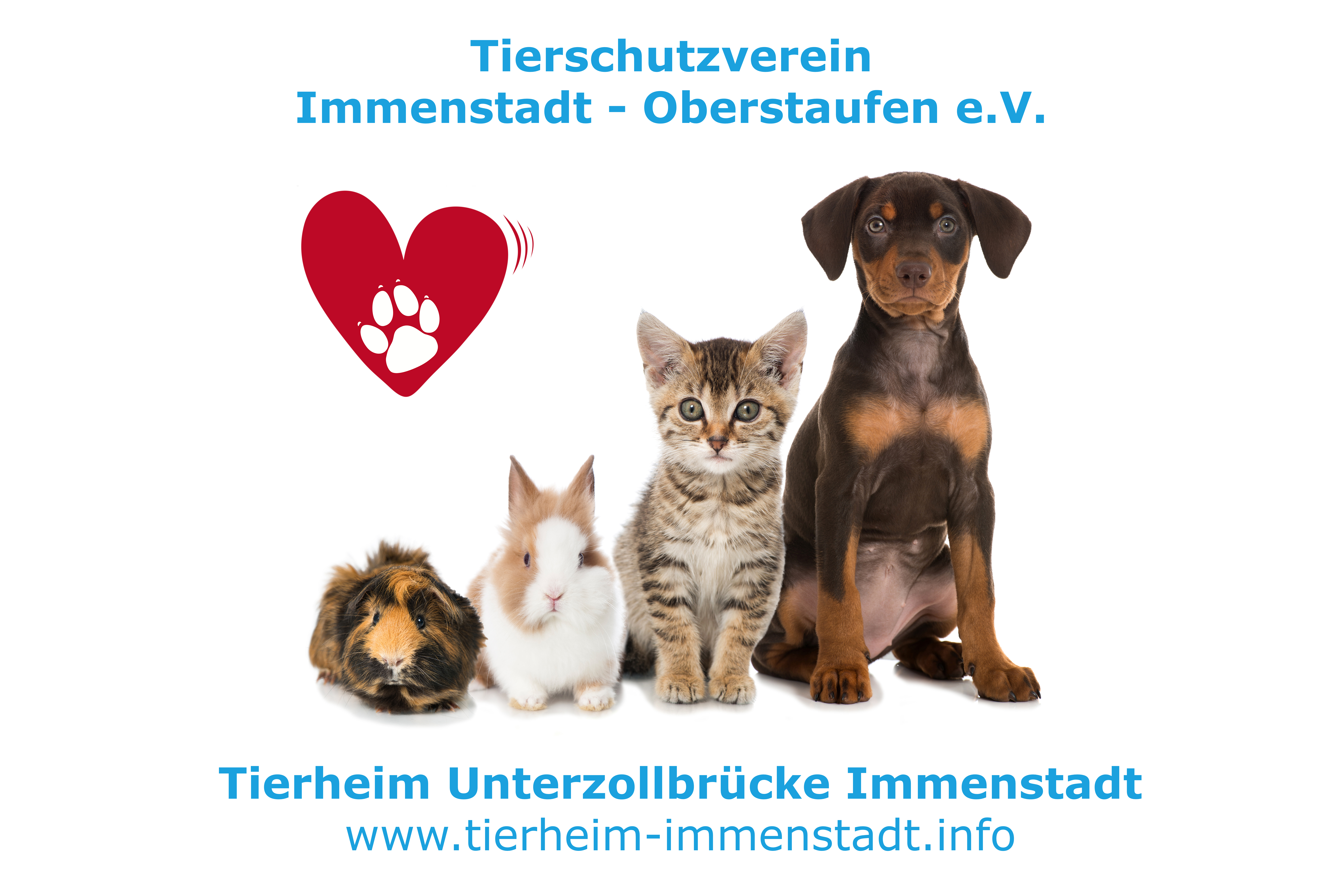 Tierschutzverein Immenstadt-Oberstaufen e.V. Logo