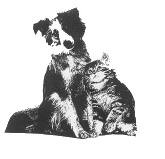 Tierschutzverein Meinerzhagen/Kierspe e.V. Logo