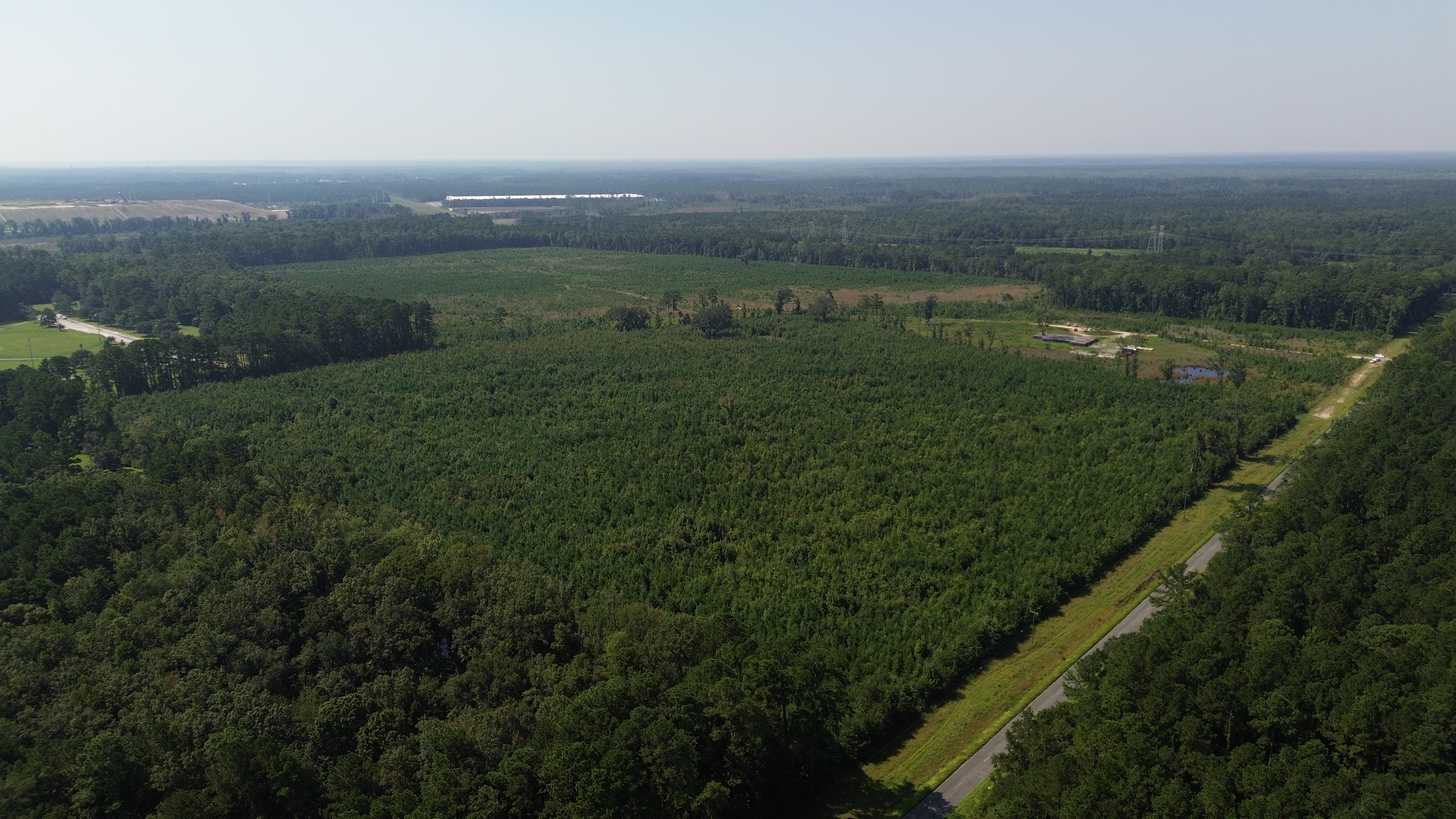 Aerial view of Bush Road Tract, West Chatham County, Savannah GA — drone survey