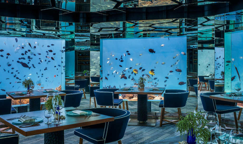 6 Incredible Underwater Restaurants