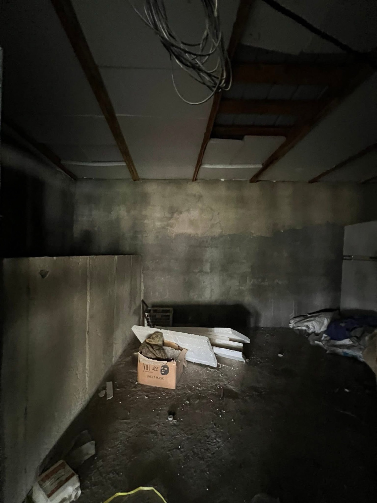 Image 12