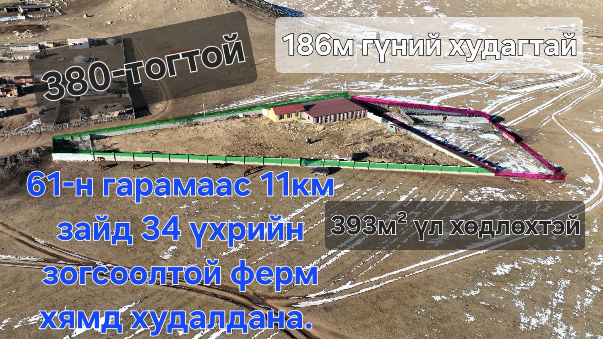 Image 31