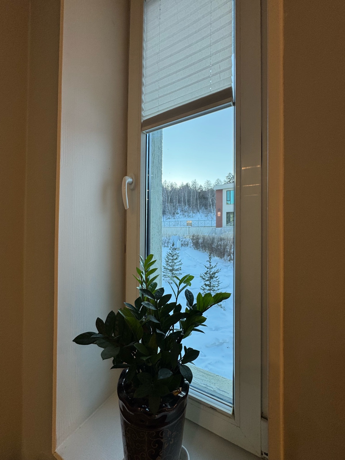 Image 14