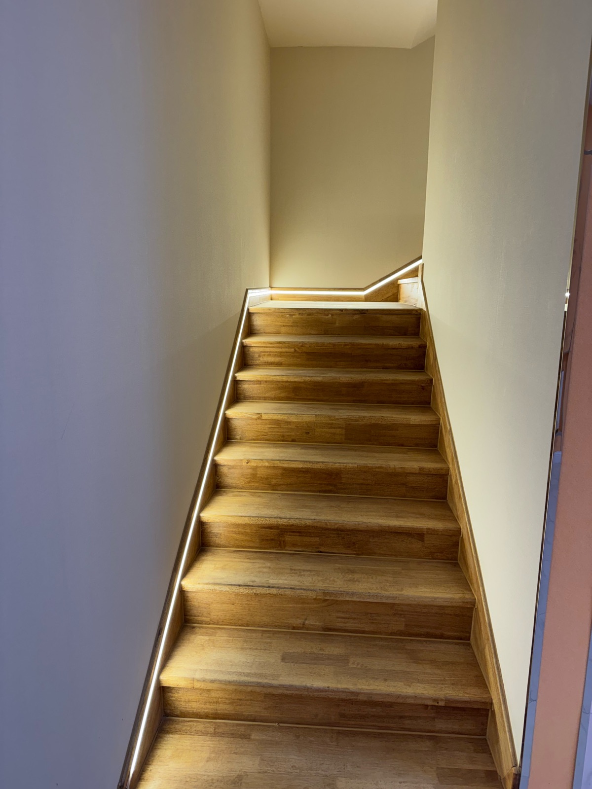 Image 19