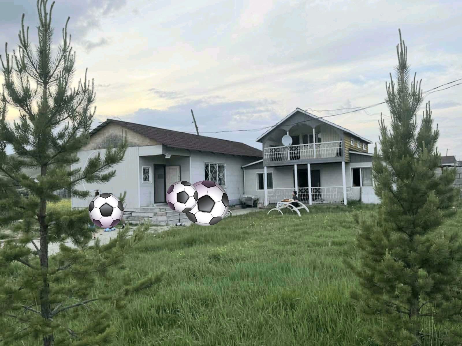 Image 8