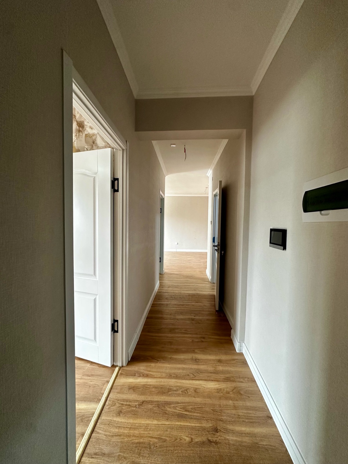 Image 12