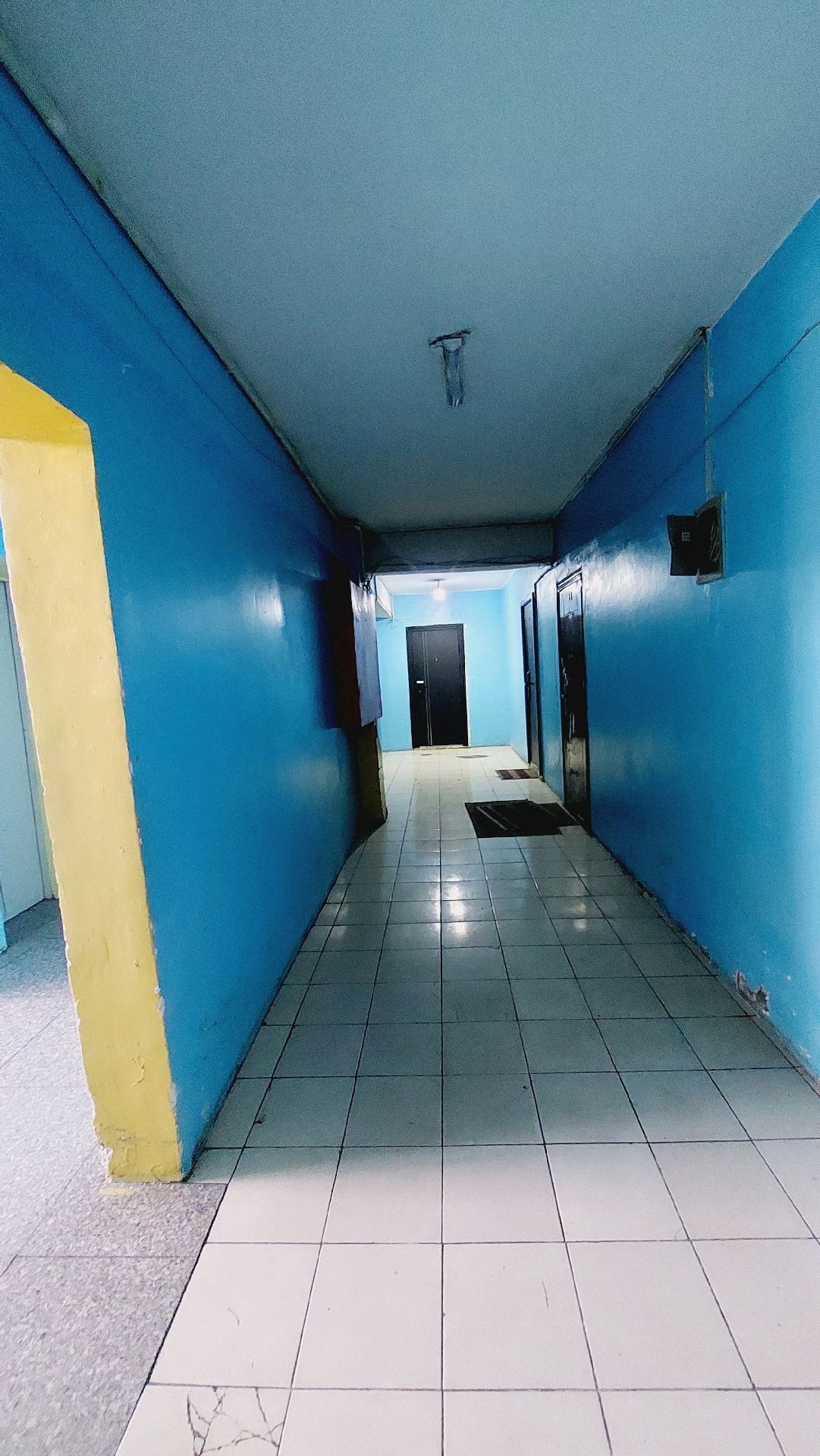 Image 12