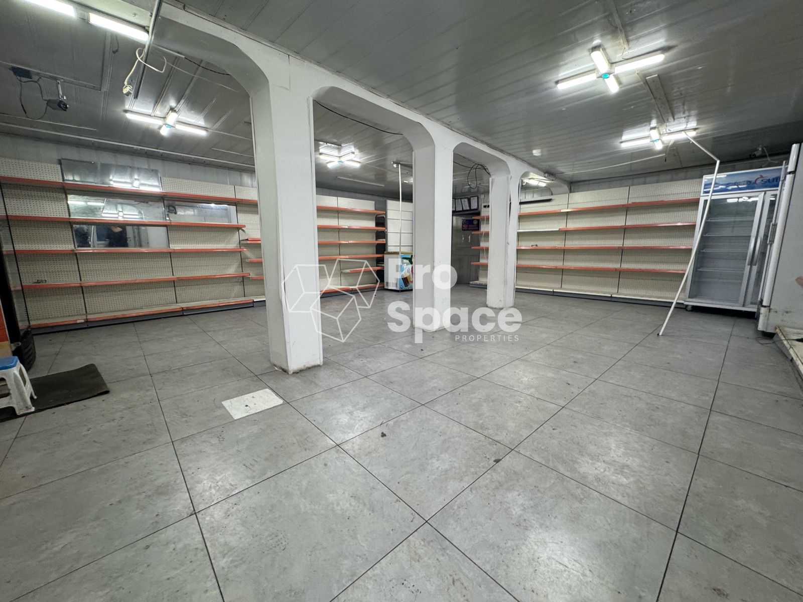 Image 6