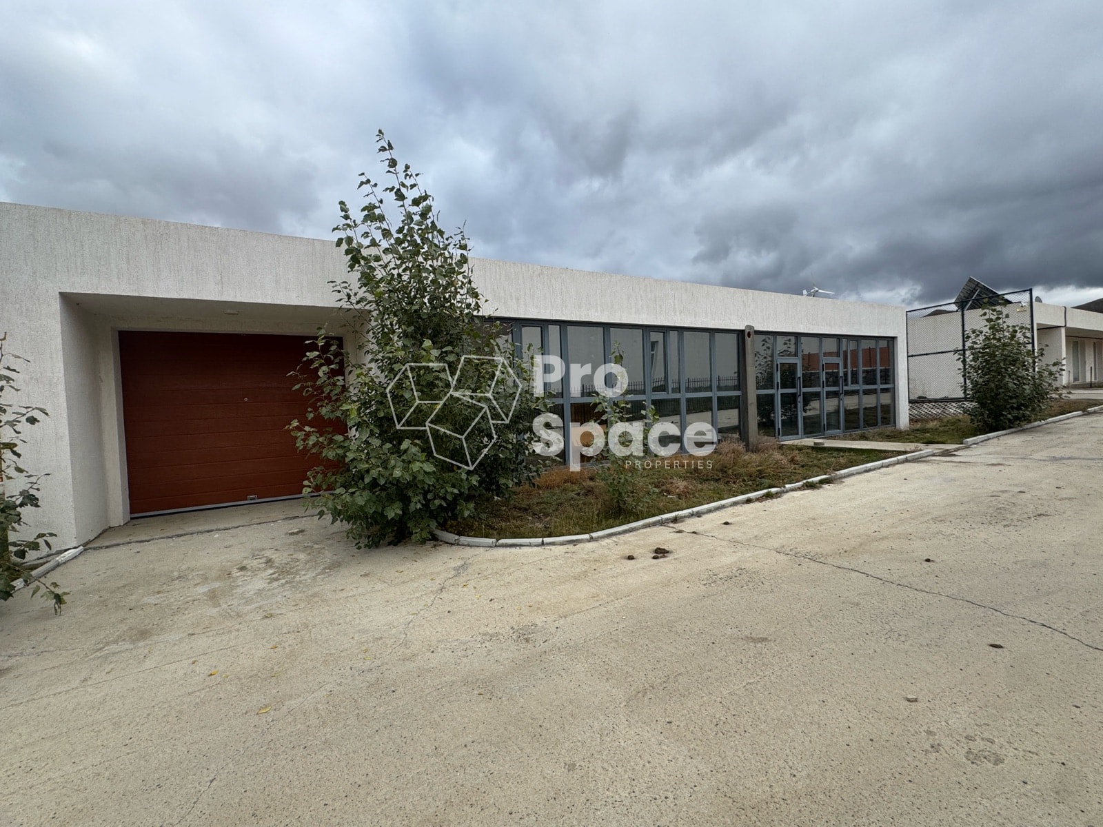 Image 6