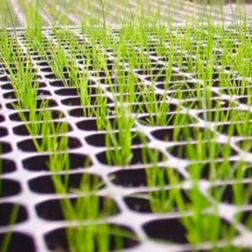 BANDEJA DE GERMINACIÓN