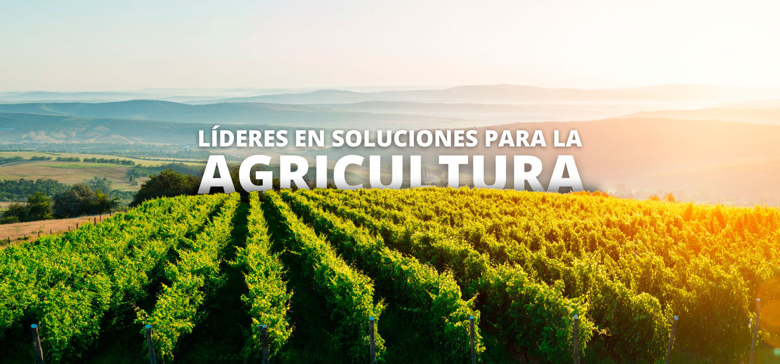 Líderes en soluciones para agricultura