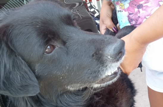 Banner Ajuda o negão 