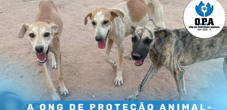 Banner AJUDE A OPA