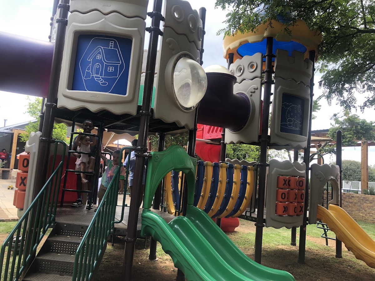 33 Olive Tree - in the Parks — photo 4