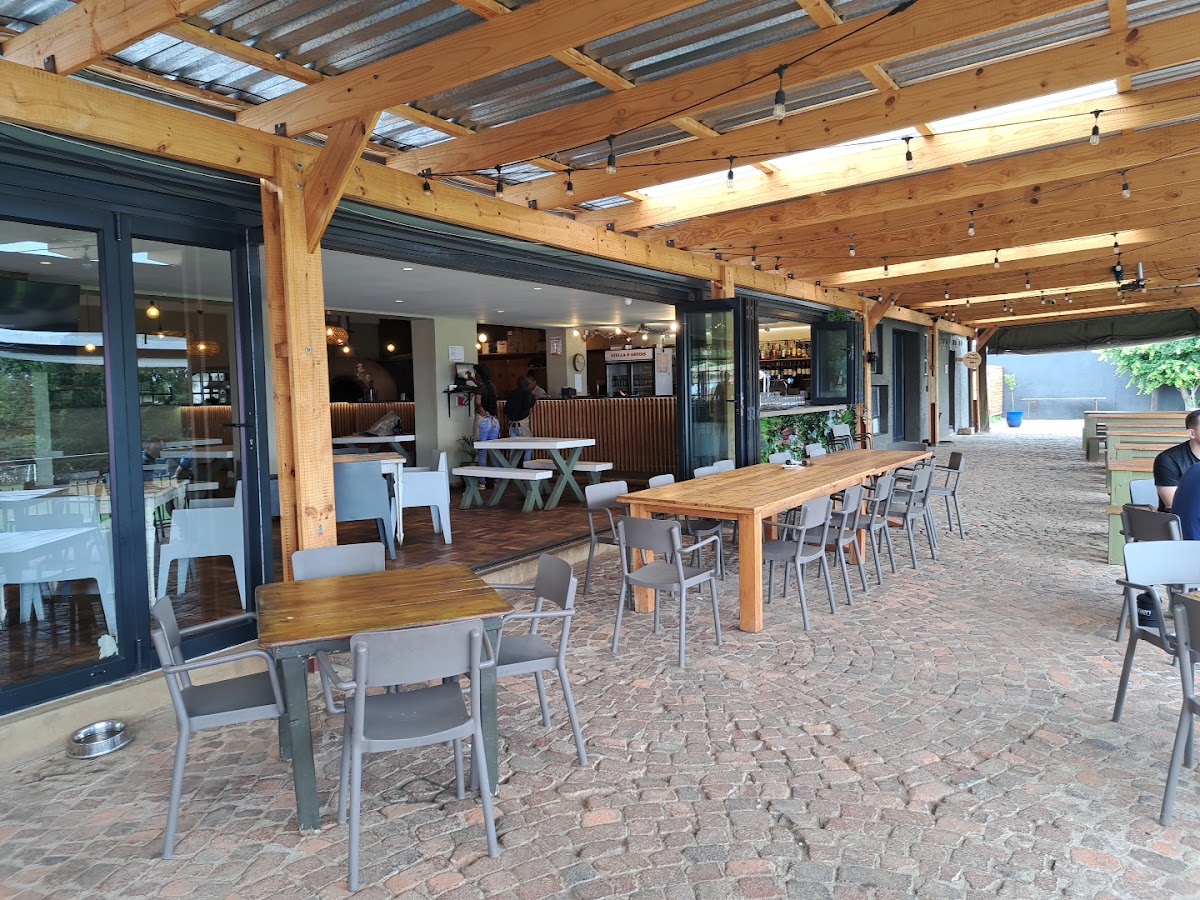 33 Olive Tree - in the Parks — photo 6