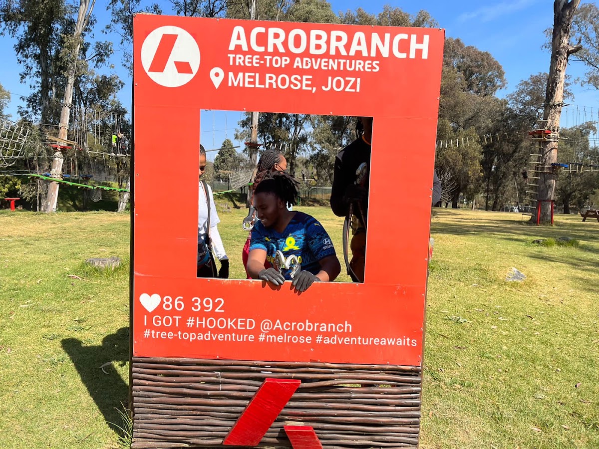 Acrobranch Melrose — photo 4