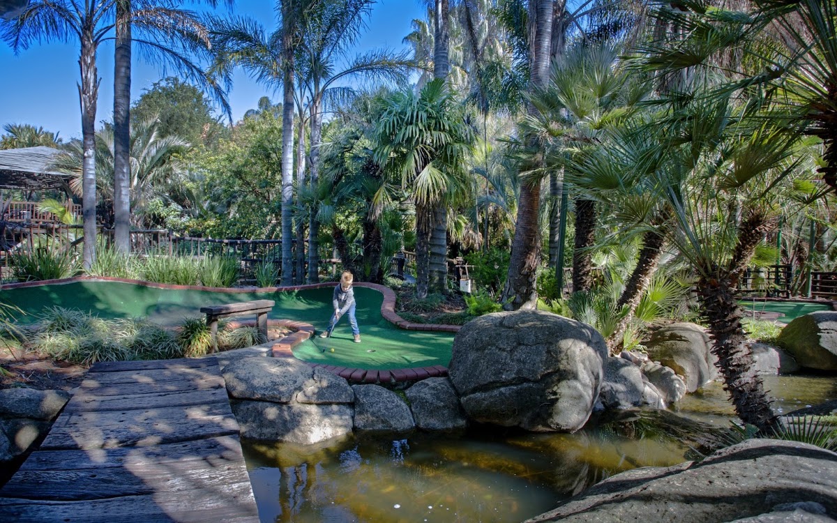 ADVENTURE GOLF - Randburg
