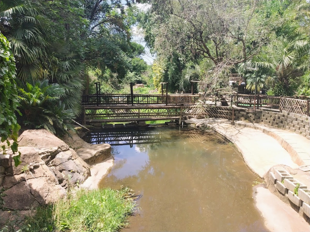 ADVENTURE GOLF - Randburg — photo 6