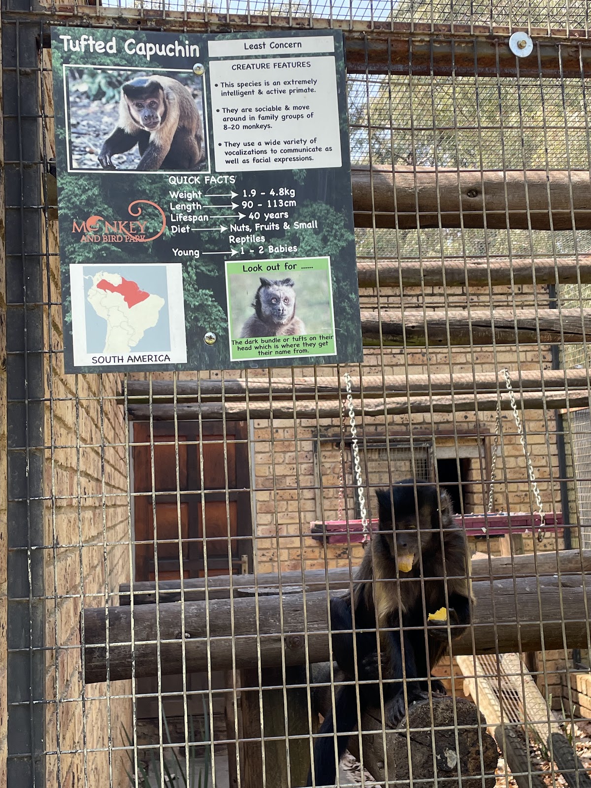 Benoni Monkey And Bird Park — photo 4