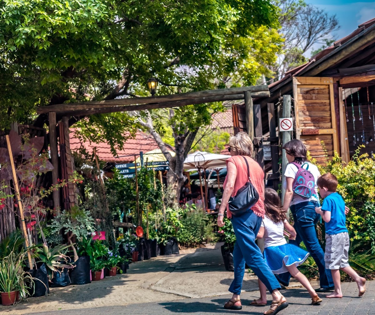 Bryanston Organic Market — photo 2