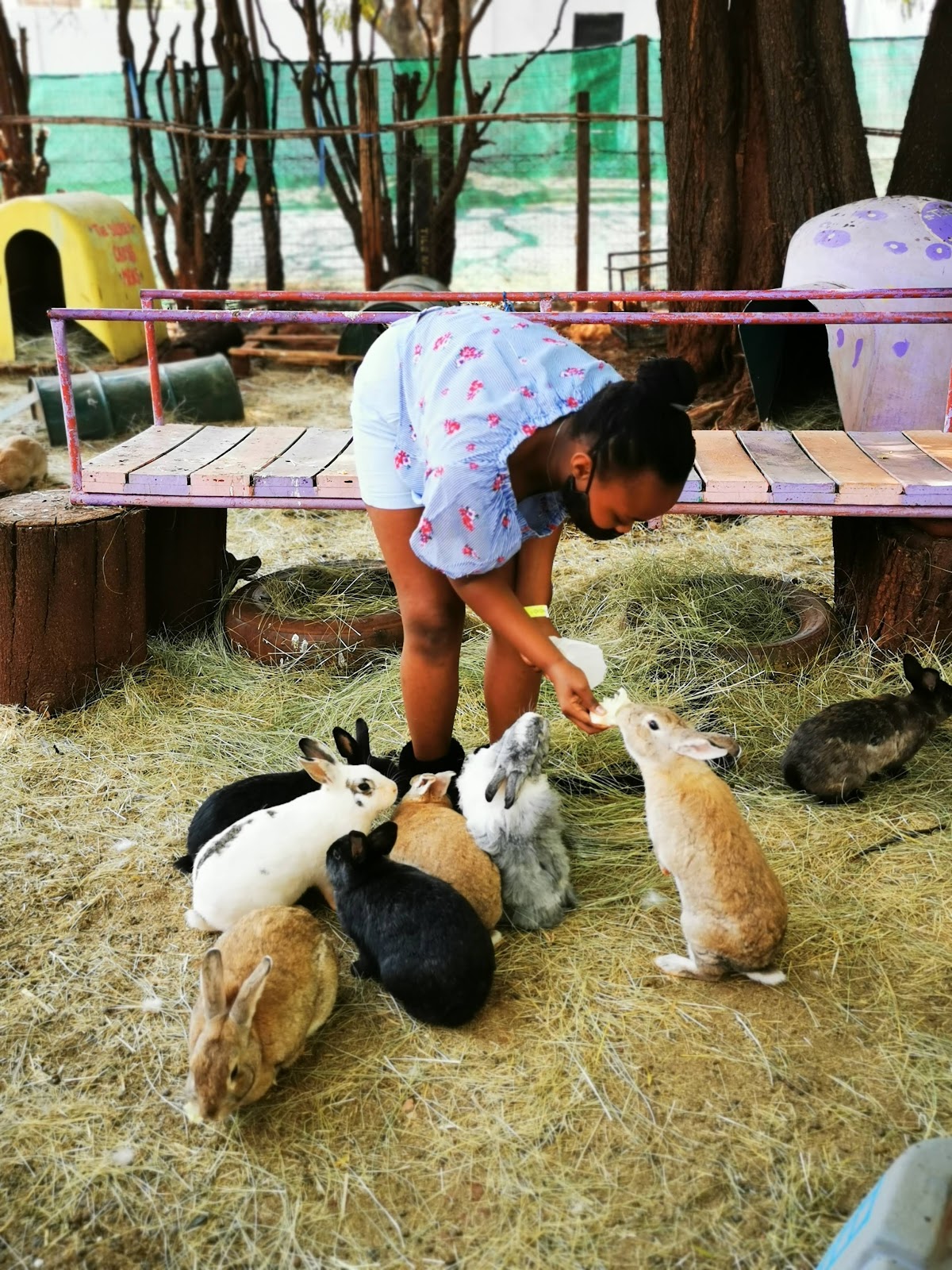 The Bunny Hop Haven @ Observatory Sports Club — photo 2