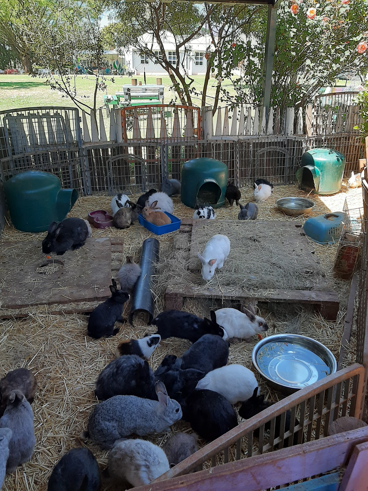 The Bunny Hop Haven @ Observatory Sports Club — photo 6