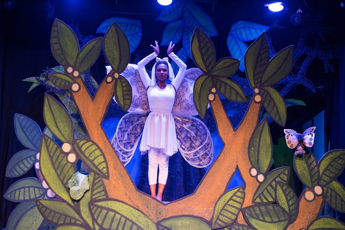 National Children's Theatre (South Afrida) — photo 3