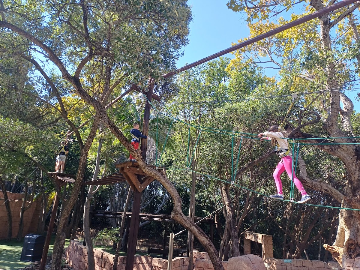 Chimp and Zee Rope Adventure Park — photo 2
