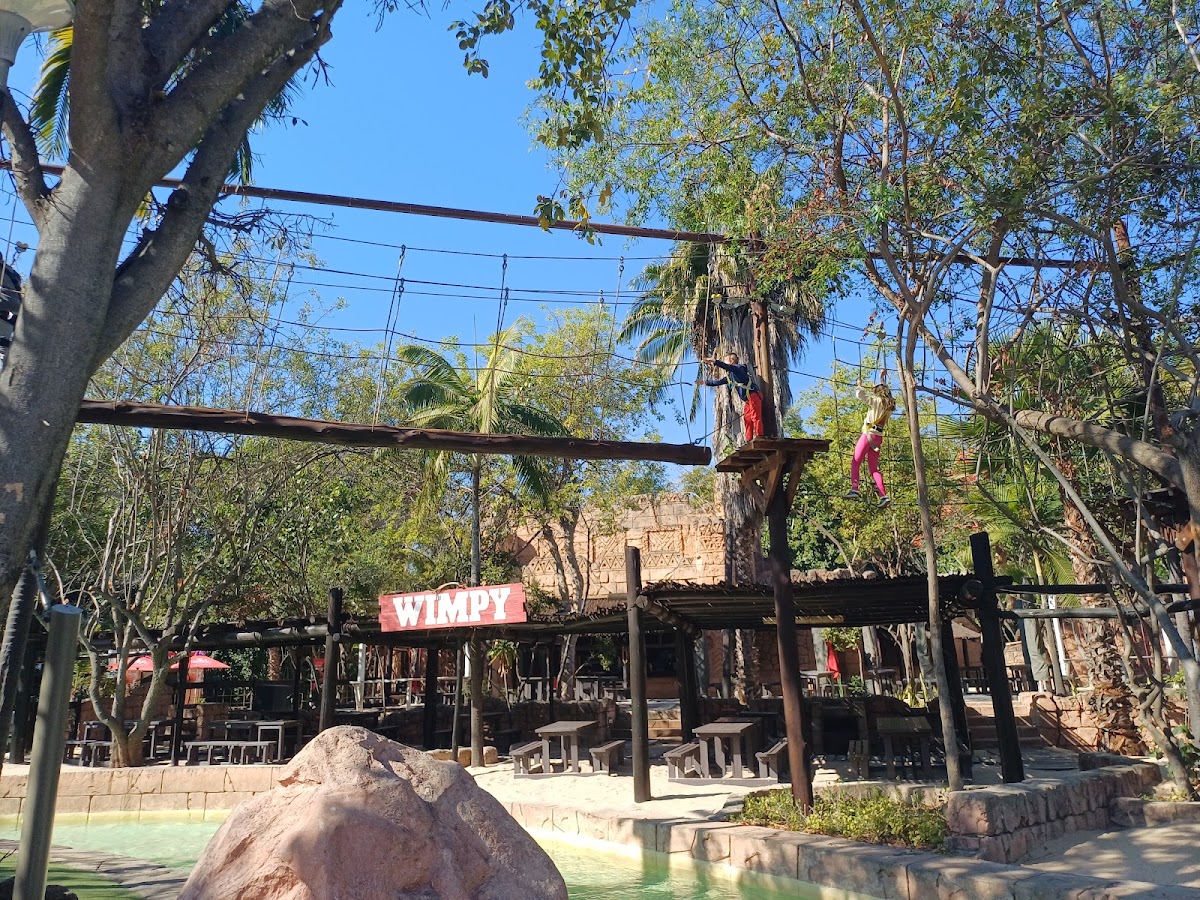 Chimp and Zee Rope Adventure Park — photo 4